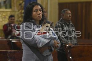 TLAXCALA . BENDICIÓN ANIMALES