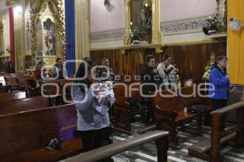 TLAXCALA . BENDICIÓN ANIMALES