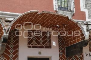 BARRIO DEL ARTISTA . ÁRBOL CAÍDO