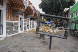BARRIO DEL ARTISTA . ÁRBOL CAÍDO
