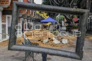 BARRIO DEL ARTISTA . ÁRBOL CAÍDO