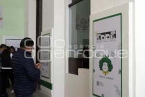 LA CONSTANCIA MEXICANA . MAFALDA
