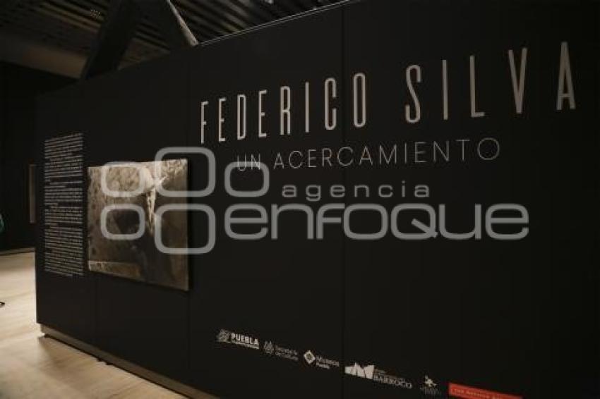 EXPOSICIÓN . FEDERICO SILVA