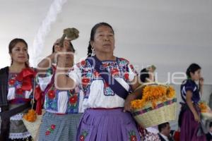 GOBIERNO ESTATAL . TEMPORADA MOLE DE CADERAS