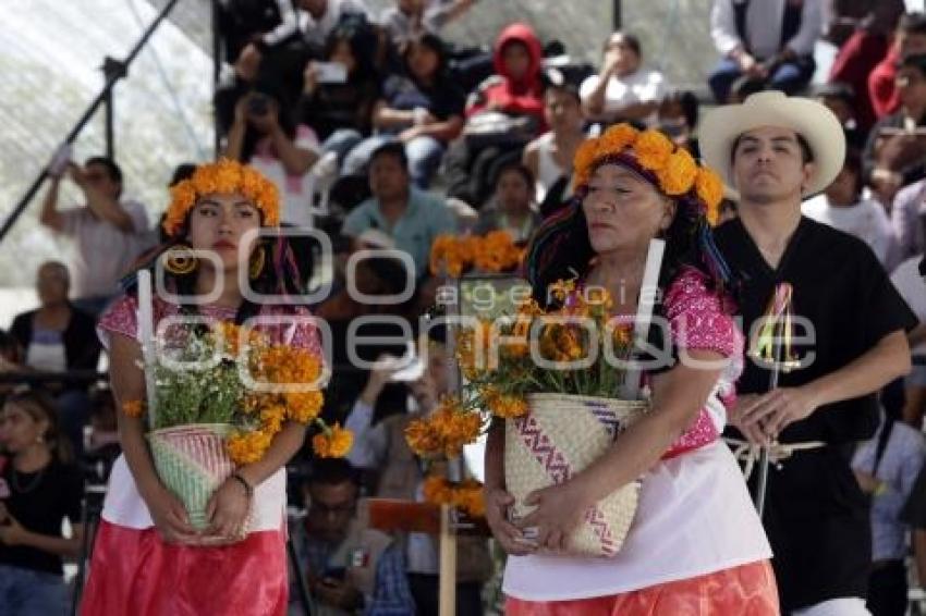 GOBIERNO ESTATAL . TEMPORADA MOLE DE CADERAS