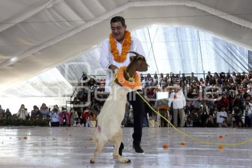 GOBIERNO ESTATAL . TEMPORADA MOLE DE CADERAS
