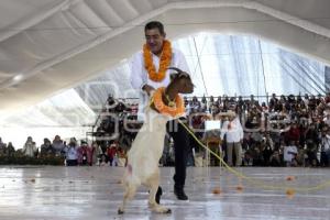 GOBIERNO ESTATAL . TEMPORADA MOLE DE CADERAS