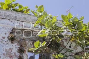 CASONA ACORDONADA