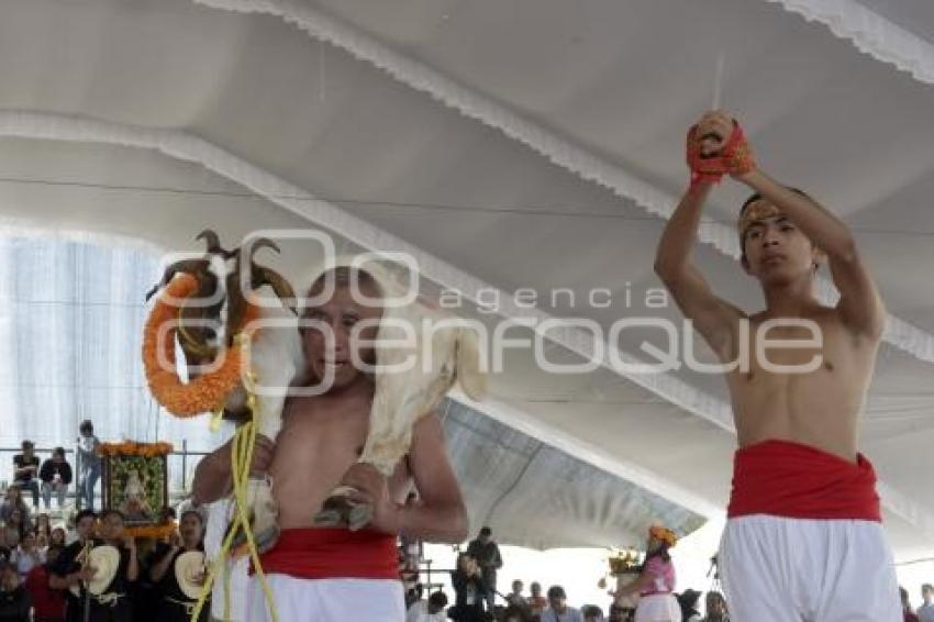 GOBIERNO ESTATAL . TEMPORADA MOLE DE CADERAS