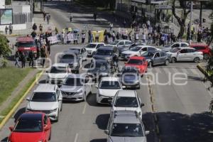 MANIFESTACION . ANIMALISTAS