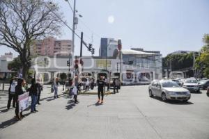 MANIFESTACION . ANIMALISTAS