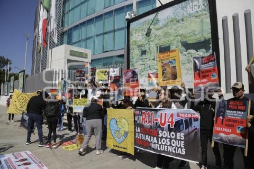 MANIFESTACION . ANIMALISTAS