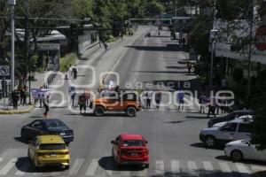 MANIFESTACION . ANIMALISTAS