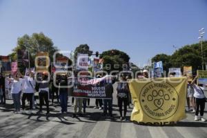 MANIFESTACION . ANIMALISTAS