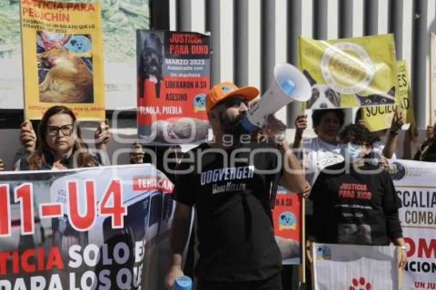 MANIFESTACION . ANIMALISTAS