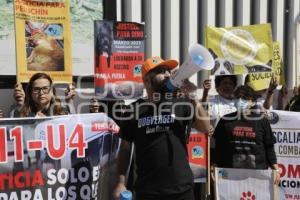 MANIFESTACION . ANIMALISTAS