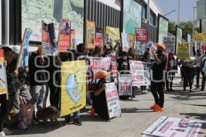 MANIFESTACION . ANIMALISTAS