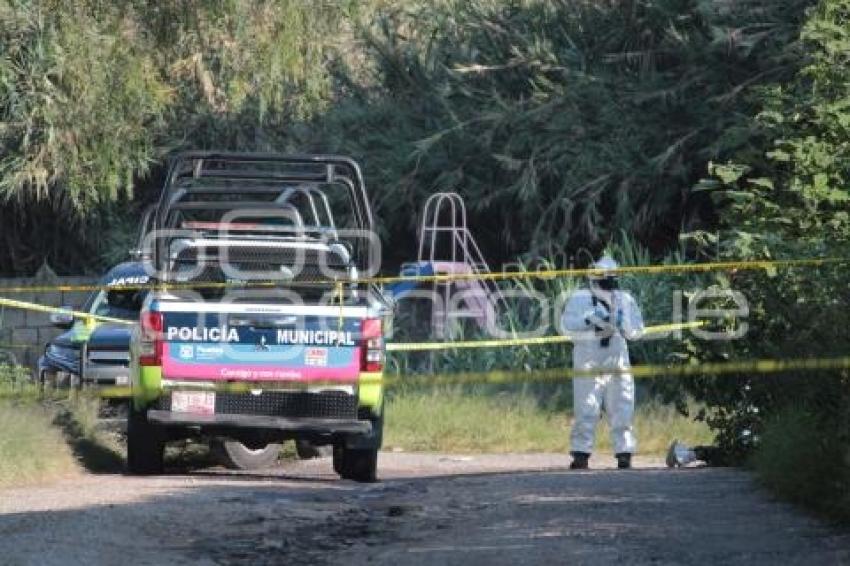 HOMICIDIO . LA HACIENDA