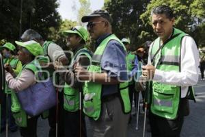 MANIFESTACIÓN . INVIDENTES