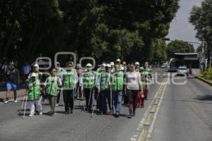 MANIFESTACIÓN . INVIDENTES