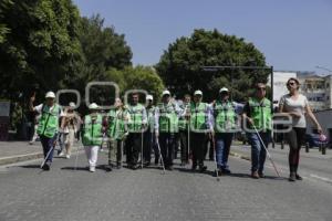 MANIFESTACIÓN . INVIDENTES
