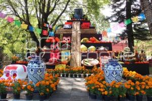 ATLIXCO . OFRENDA CARTONERÍA