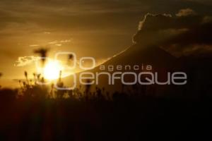 ATARDECER . CEMPASÚCHIL