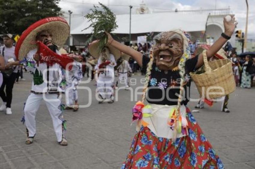 ACATLÁN . TECUANES