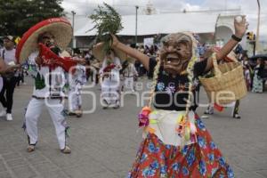 ACATLÁN . TECUANES