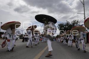 ACATLÁN . TECUANES