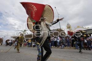 ACATLÁN . TECUANES