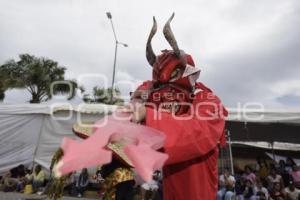 ACATLÁN . TECUANES