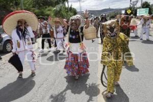 ACATLÁN . TECUANES
