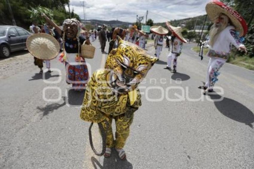 ACATLÁN . TECUANES