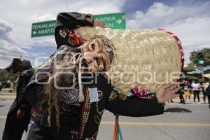 ACATLÁN . TECUANES