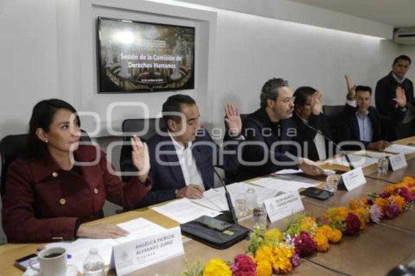 CONGRESO . COMISIÓN DE DERECHOS HUMANOS