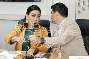 CONGRESO . COMISIÓN ASE