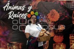 CUAUTLANCINGO . FESTIVAL ÁNIMAS Y RAÍCES