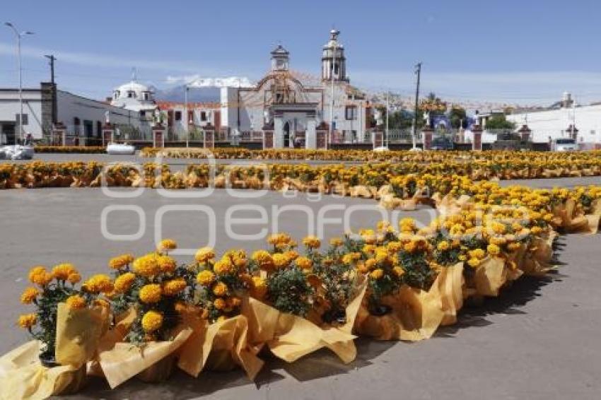 HUEJOTZINGO . TAPETE DÍA DE MUERTOS
