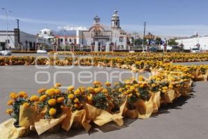 HUEJOTZINGO . TAPETE DÍA DE MUERTOS