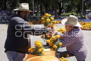 HUEJOTZINGO . TAPETE DÍA DE MUERTOS