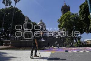 ZÓCALO . ALFOMBRA MONUMENTAL
