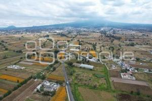 TLAXCALA . CAMPOS DE CEMPASÚCHIL