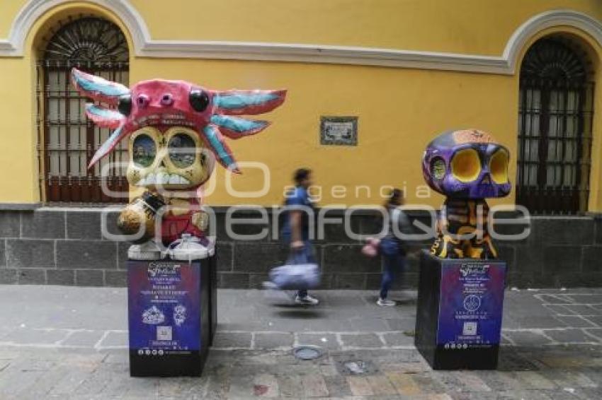 ME LLEVA LA HUESUDA