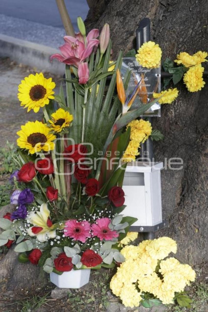 DÍA DE MUERTOS . ACCIDENTADOS