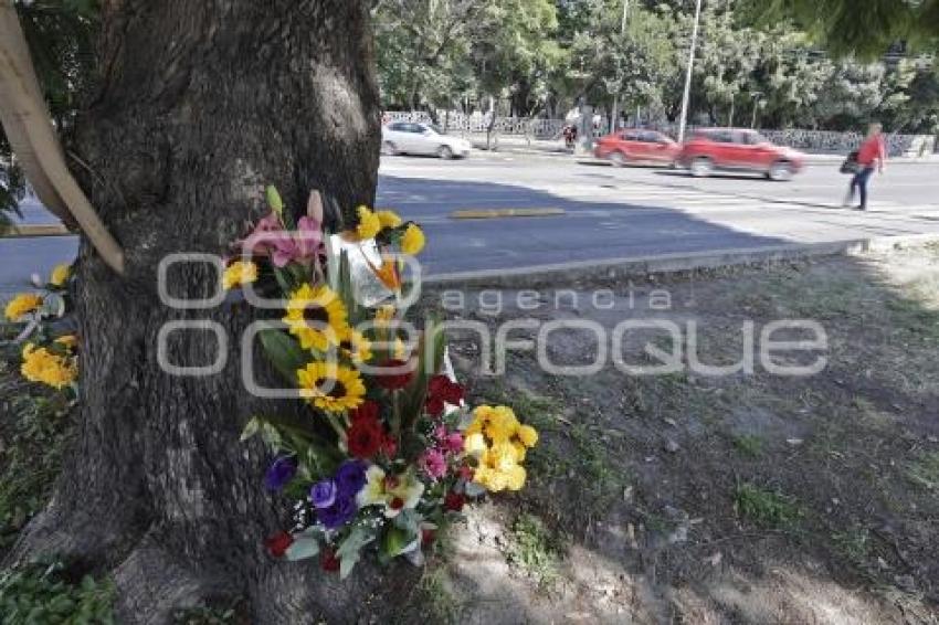 DÍA DE MUERTOS . ACCIDENTADOS