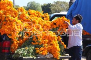 ATLIXCO . VENTA DE CEMPASÚCHIL