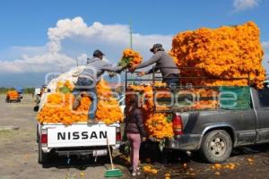 ATLIXCO . VENTA DE CEMPASÚCHIL