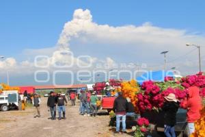 ATLIXCO . VENTA DE CEMPASÚCHIL