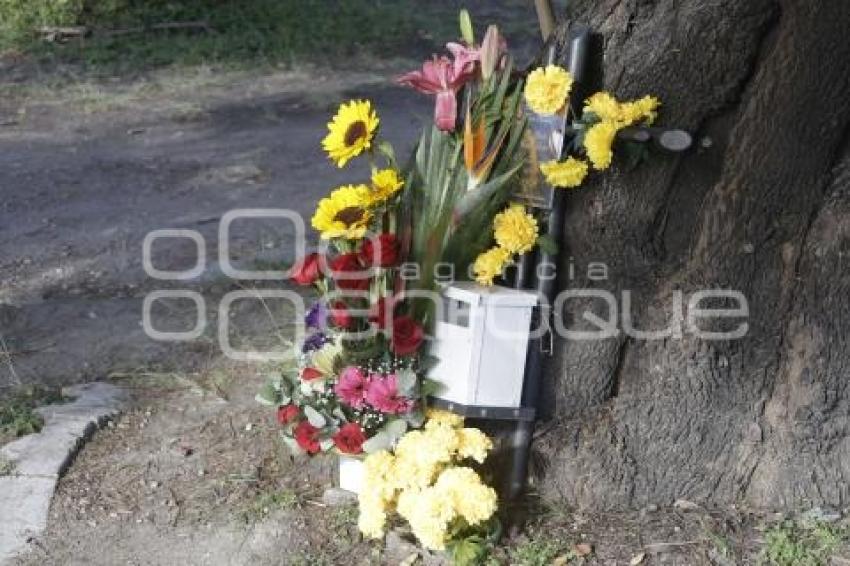 DÍA DE MUERTOS . ACCIDENTADOS